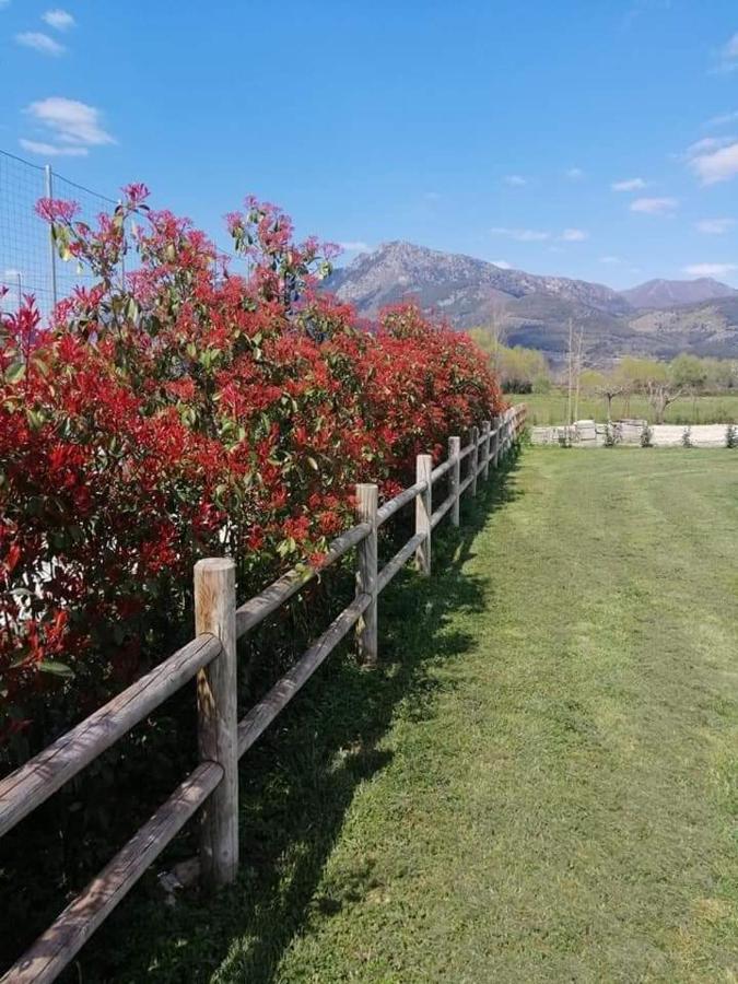 L'Airone Country House Sant'Elia Fiumerapido ภายนอก รูปภาพ
